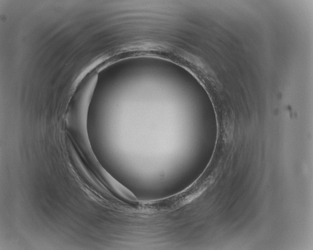 X0000081561073200701151141