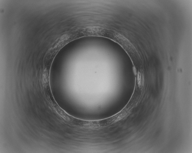 X0000081561107200701151139