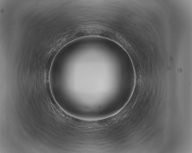 X0000081561108200701151139