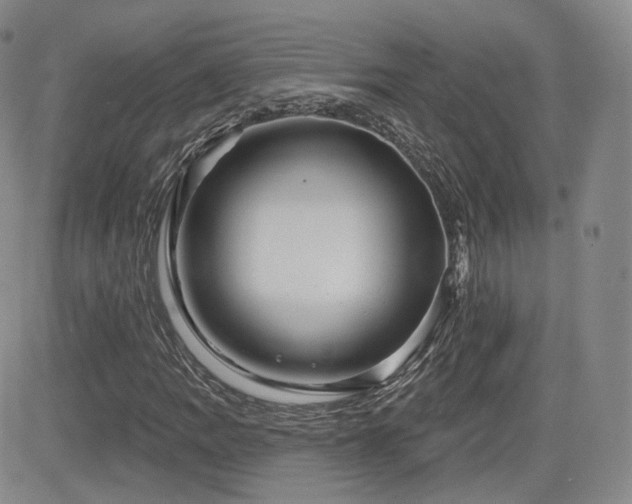 X0000081561109200701151139