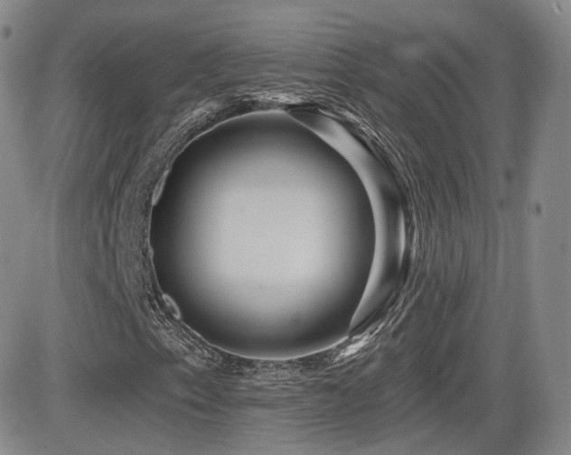 X0000081561153200701151139