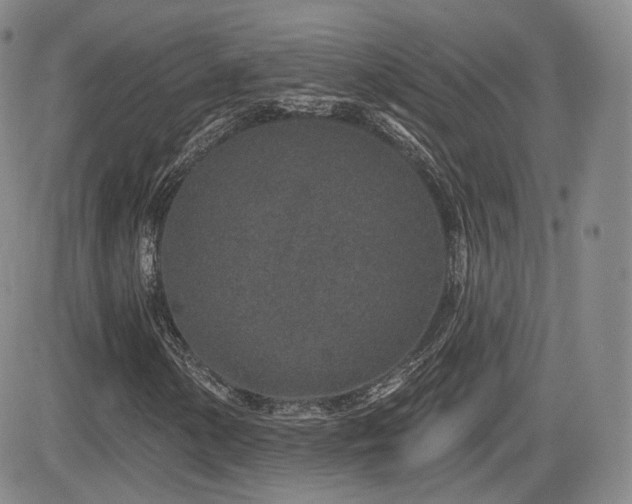 X0000081561154200701151139