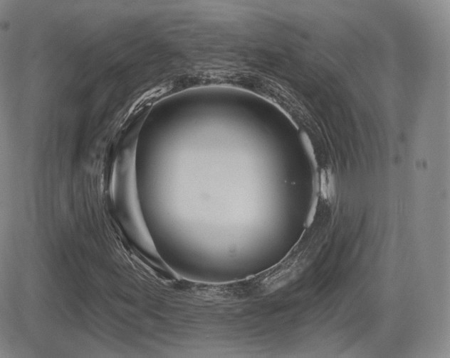 X0000081561155200701151139