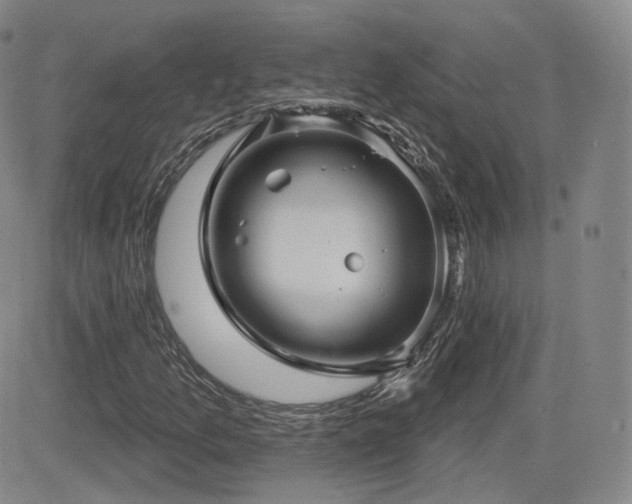 X0000081561157200701151139
