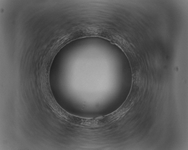 X0000081561201200701151138