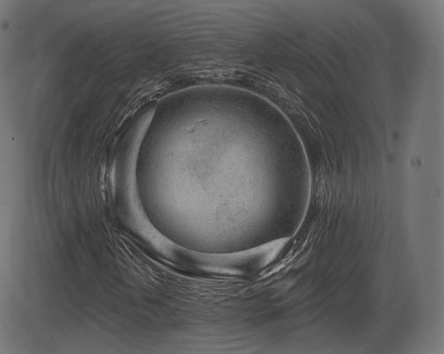 X0000081561202200701151138