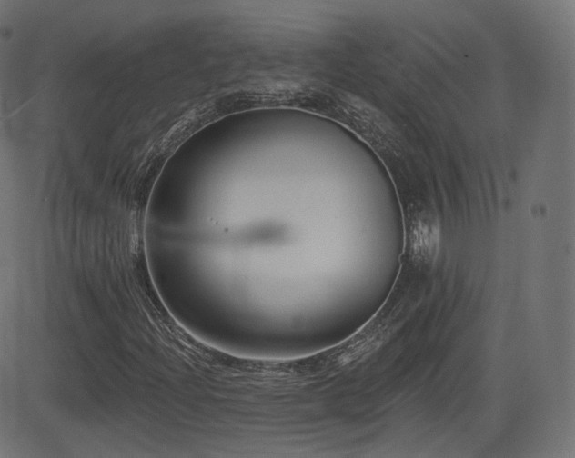 X0000081561204200701151138
