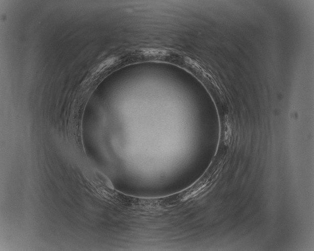 X0000081561249200701151138