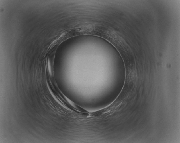 X0000081561250200701151138