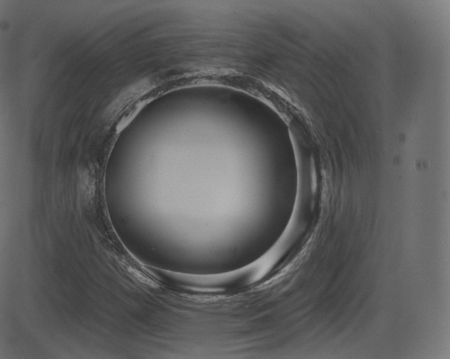X0000081561257200701151138