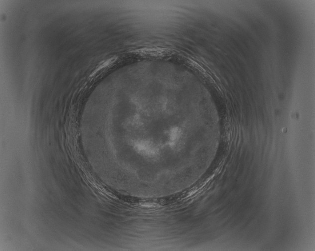X0000081561297200701151136