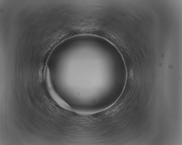 X0000081561300200701151136