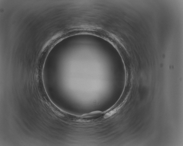 X0000081561307200701151136