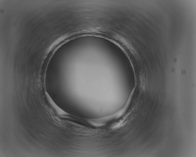 X0000081561308200701151136