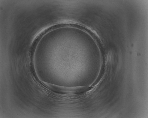 X0000081561311200701151137
