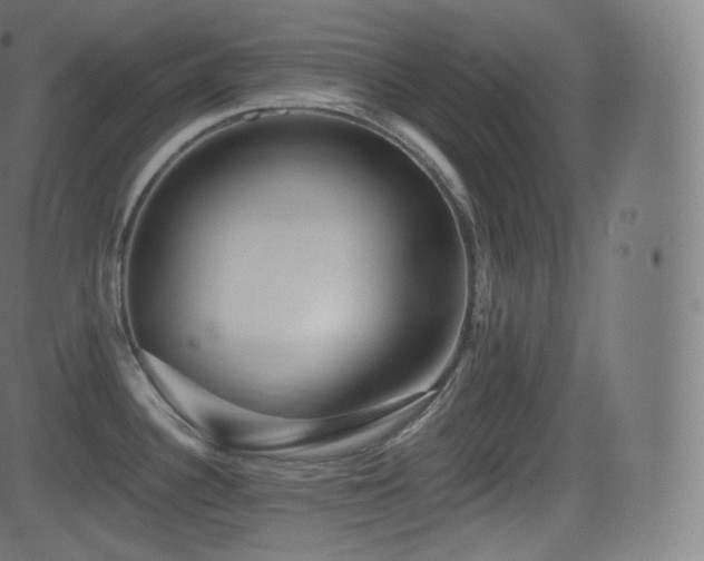 X0000081561340200701151137