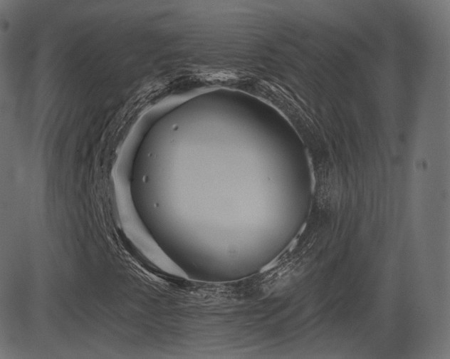 X0000081561345200701151136
