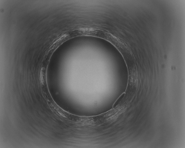 X0000081561346200701151136