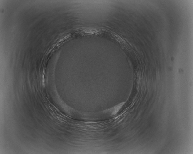 X0000081561394200701151135