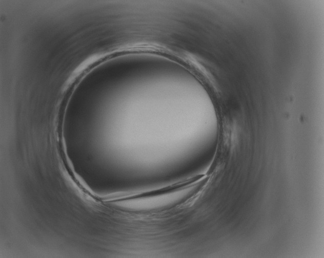 X0000081561422200701151135