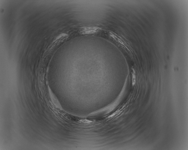 X0000081561441200701151135