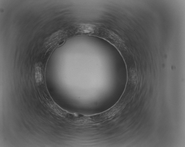 X0000081561442200701151135
