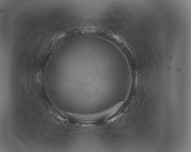 X0000081561445200701151135