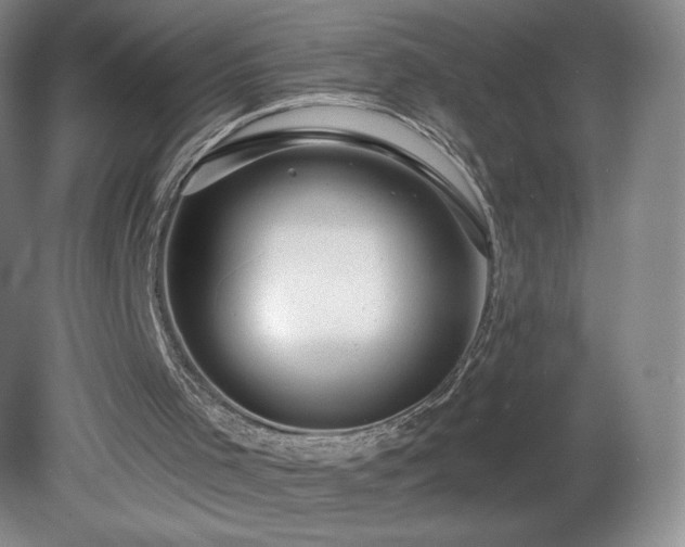 X0000081560001200701221039