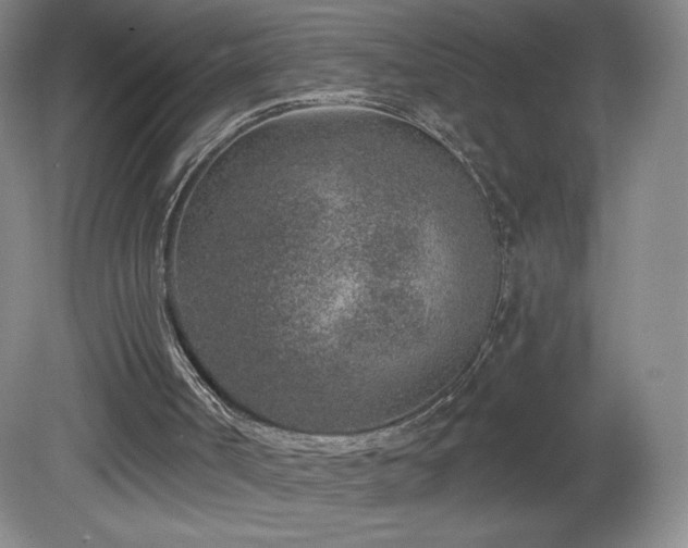 X0000081560002200701221039