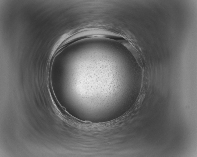 X0000081560003200701221039