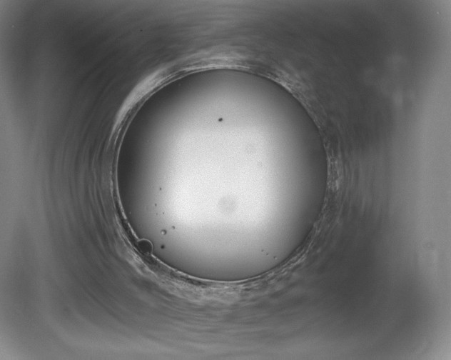 X0000081560004200701221039