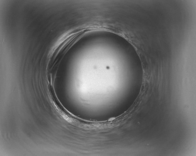 X0000081560005200701221039