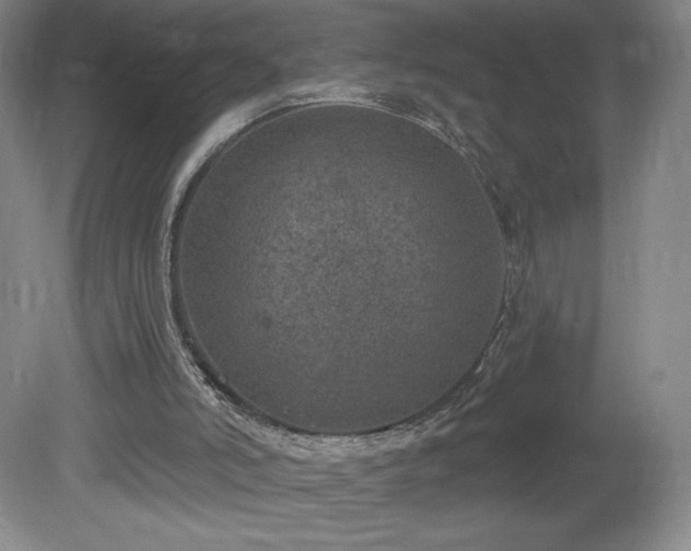 X0000081560006200701221039