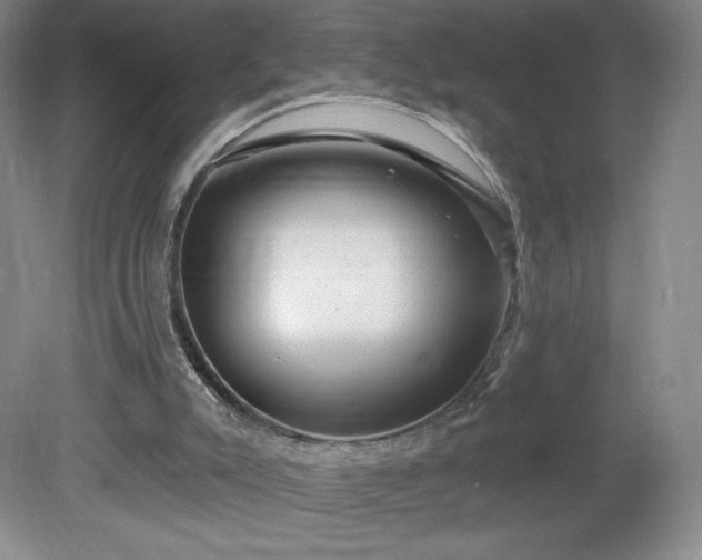 X0000081560007200701221039