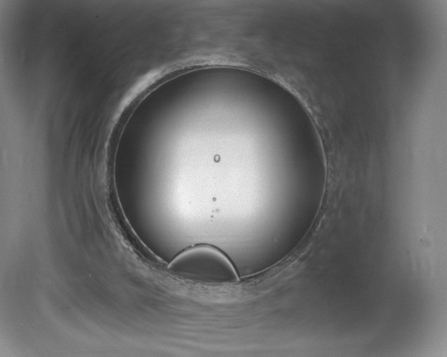 X0000081560008200701221039