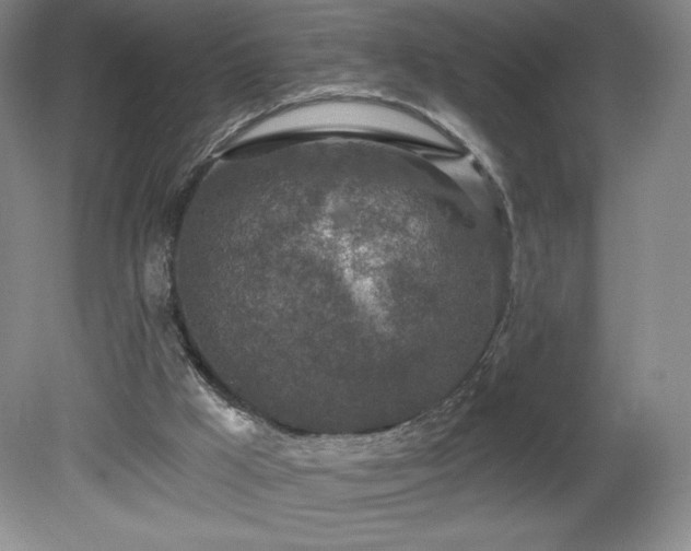 X0000081560009200701221039