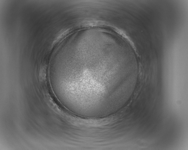 X0000081560010200701221039