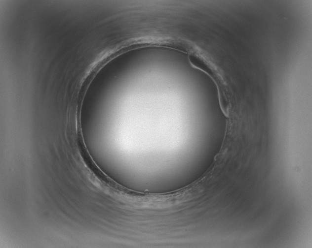 X0000081560011200701221039