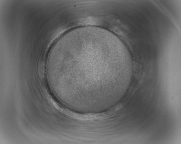 X0000081560012200701221039