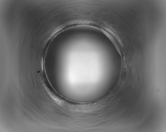 X0000081560013200701221039