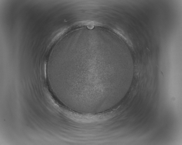 X0000081560014200701221039