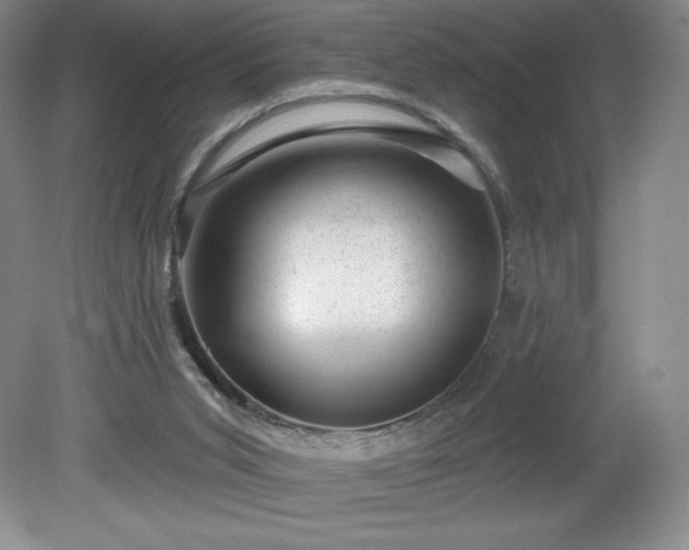 X0000081560015200701221039