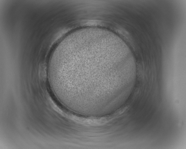 X0000081560016200701221039