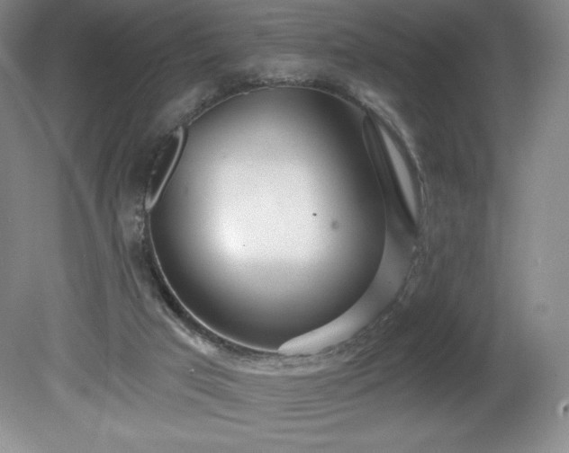 X0000081560017200701221039