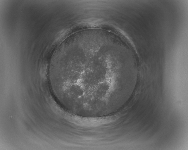 X0000081560018200701221039