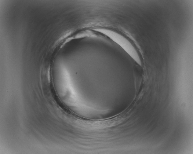 X0000081560019200701221039