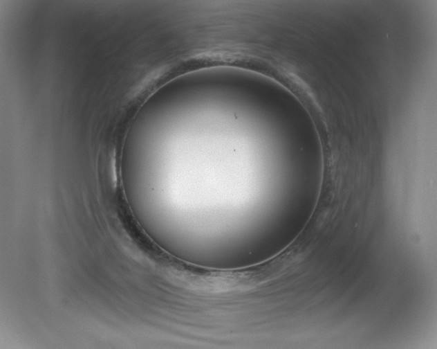 X0000081560020200701221038