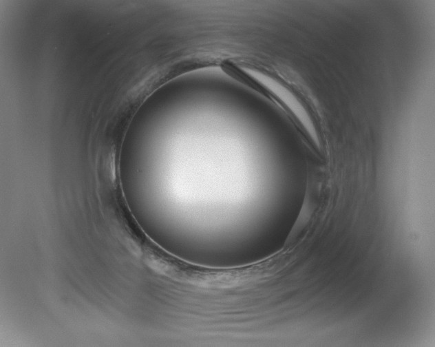 X0000081560021200701221038