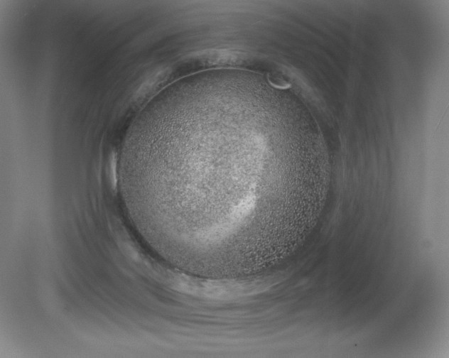 X0000081560022200701221038