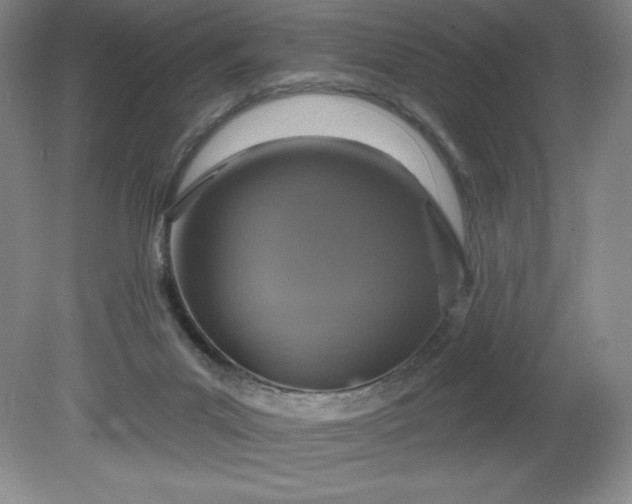 X0000081560023200701221038